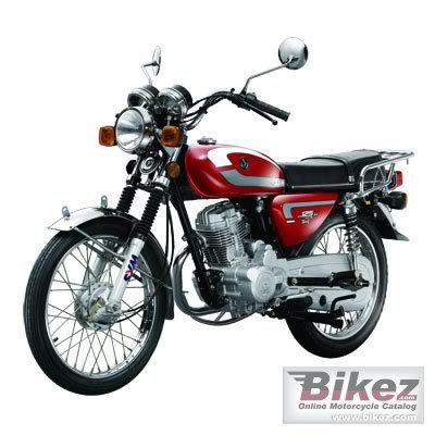 2010 Sym Wolf 125 photo